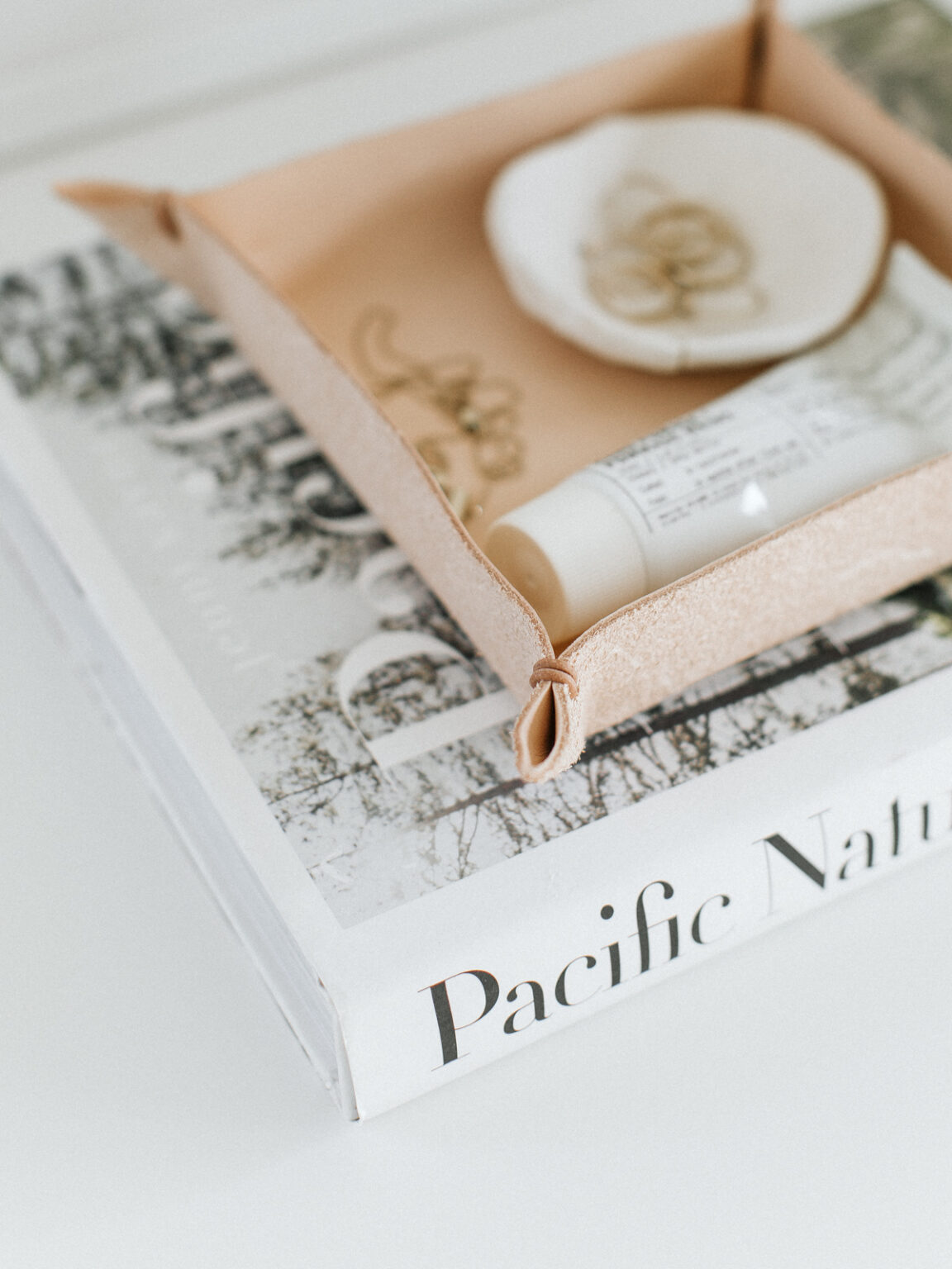 DIY Leather Catchall Tray Laine and Layne